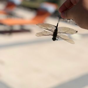 Meet your Posher, Vanessa